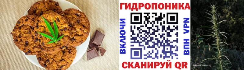 Canna-Cookies марихуана  сколько стоит  ссылка на мегу маркетплейс  Заринск 