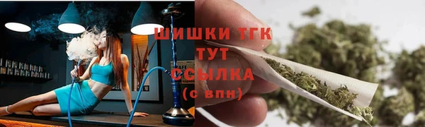 прущая мука Вяземский