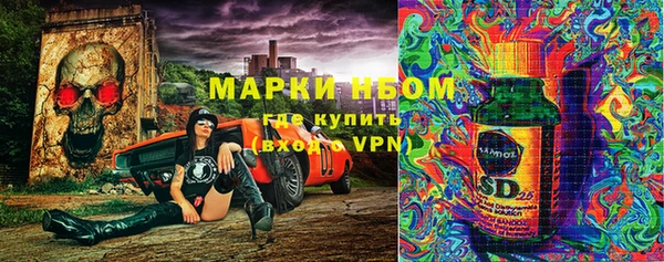 прущая мука Вяземский