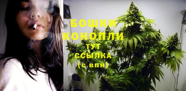 гидропоника Володарск