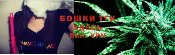 прущая мука Вяземский