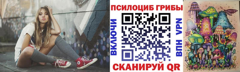 Псилоцибиновые грибы MAGIC MUSHROOMS  купить закладку  Заринск 